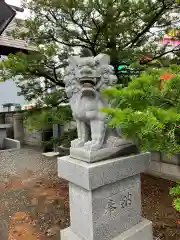 上白石神社の狛犬