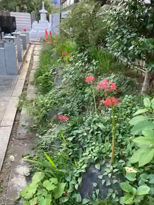 感通寺(東京都)