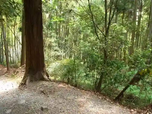 多岐原神社（皇大神宮摂社）の自然