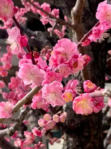 大阪天満宮(大阪府)