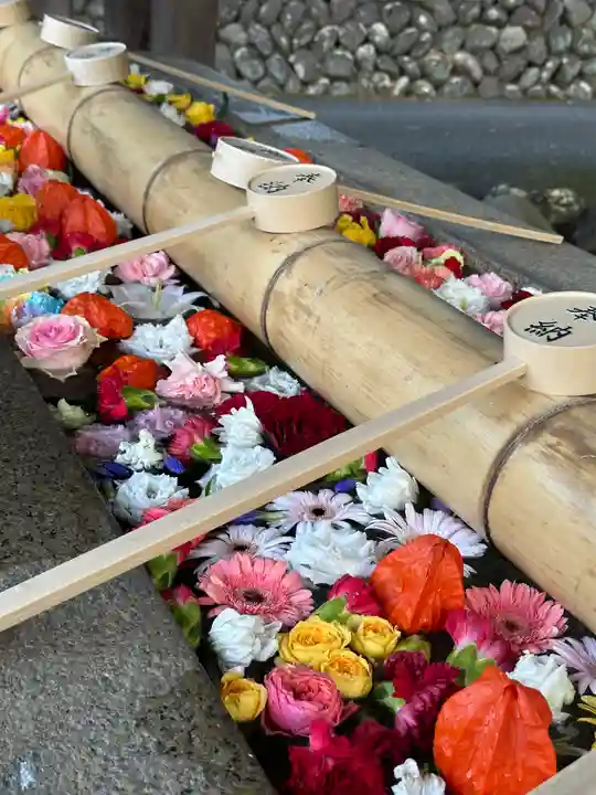 群馬県護国神社(群馬県)