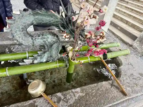 楽法寺（雨引観音）の{uncategorized: "未分類", other: "その他", undefined: "問題あり", building: "その他建物", grave: "お墓", sacred_gate: "鳥居", guardian: "狛犬", statue: "像", buddha: "仏像", history: "歴史", nature: "自然", garden: "庭園", animal: "動物", pagoda: "塔", temizu: "手水舎", mountain_gate: "山門・神門", sanctuary: "本殿・本堂", subordinate: "末社・摂社", art: "芸術", scenery: "景色", jizo: "地蔵", ema: "絵馬", goshuin: "御朱印", omikuji: "おみくじ", items: "授与品その他", amulet: "お守り", goshuincho: "御朱印帳", eats: "食事", festival: "お祭り", votive_dance: "神楽", shichigosan: "七五三参", wedding: "結婚式", experience: "体験その他", initially: "初詣", around: "周辺", anti_infection: "感染症対策"}