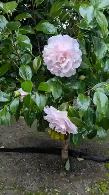 城南宮(京都府)