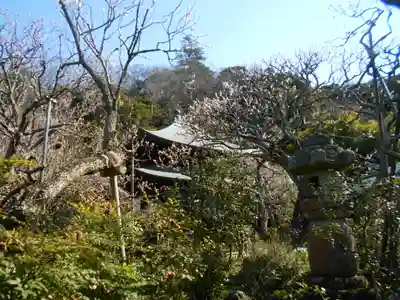 瑞泉寺(神奈川県)