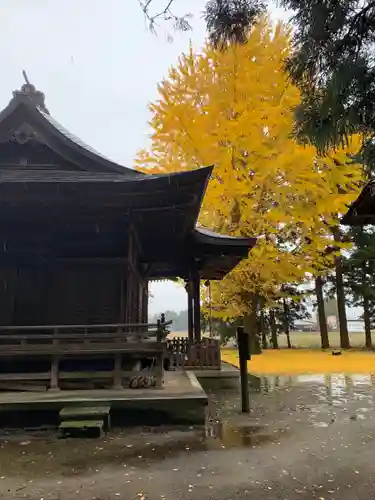 桜町二宮神社の本殿