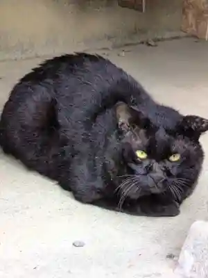 本郷氷川神社(東京都)