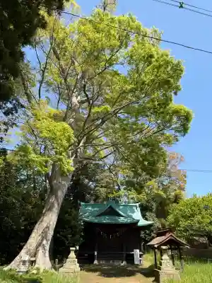酒門神社(茨城県)