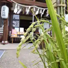 七重浜海津見神社(北海道)