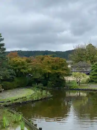 梅宮大社(京都府)