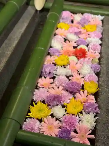 水無瀬神宮(大阪府)