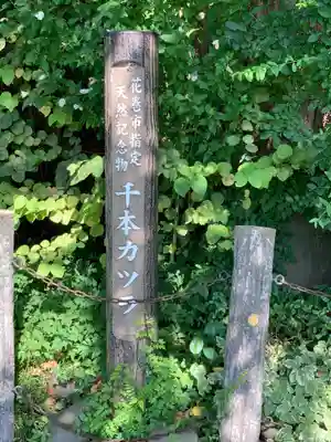 延寿寺観音堂(岩手県)