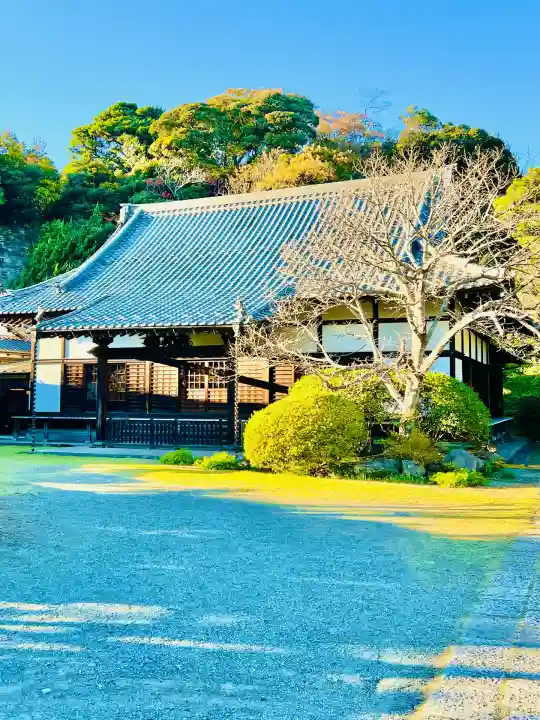 浄光明寺(神奈川県)