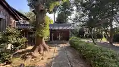 猿田彦神社(滋賀県)