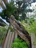 熊野大神宮(大阪府)