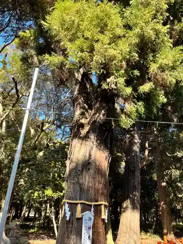 息栖神社(茨城県)