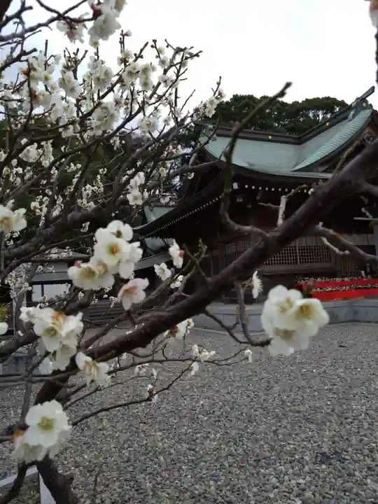 岡田神社(福岡県)