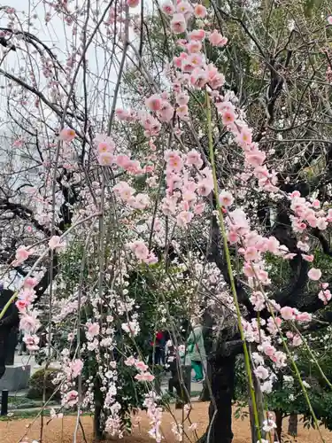 湯島天満宮の庭園