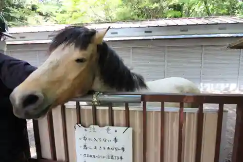 水稲荷神社(東京都)