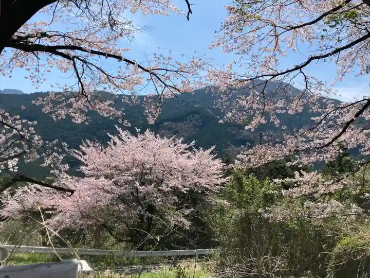 大宮八幡神社(愛媛県)
