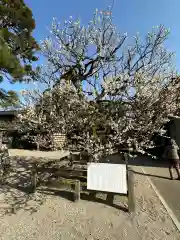 射水神社(富山県)