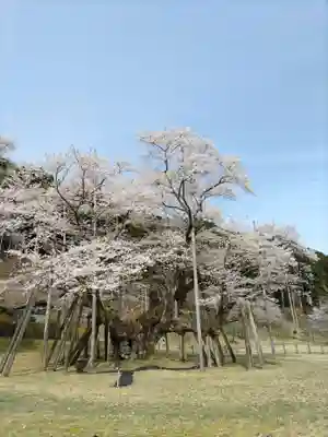 淡墨観音(岐阜県)