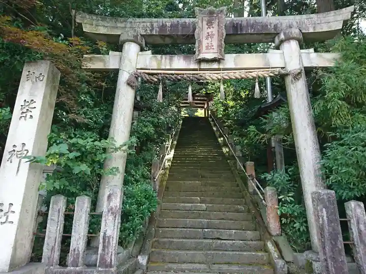 柴神社の鳥居