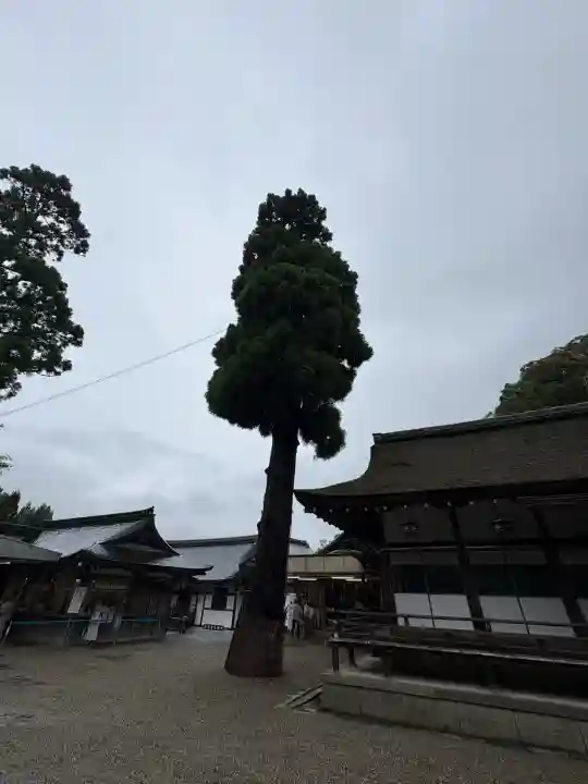 大神神社(奈良県)