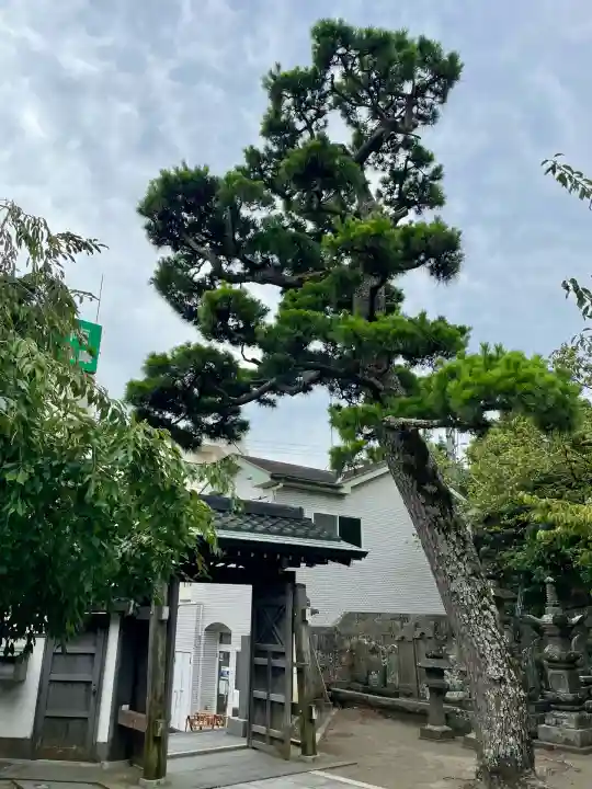 地福寺(神奈川県)