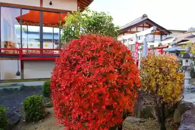 大鏑神社の庭園