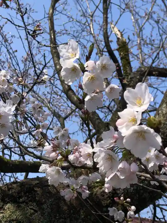 熊野神社(福井県)