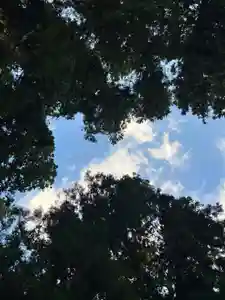 大宮温泉神社の自然(2022年10月01日(土) 08時09分30秒投稿)