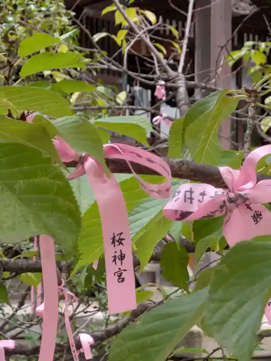 桜神宮(東京都)