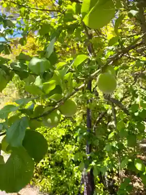 京都乃木神社(京都府)