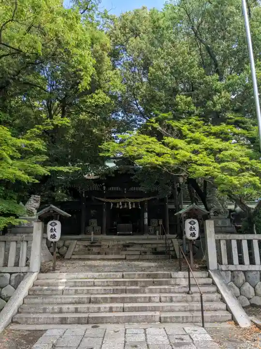 堤治神社の{uncategorized: "未分類", other: "その他", undefined: "問題あり", building: "その他建物", grave: "お墓", sacred_gate: "鳥居", guardian: "狛犬", statue: "像", buddha: "仏像", history: "歴史", nature: "自然", garden: "庭園", animal: "動物", pagoda: "塔", temizu: "手水舎", mountain_gate: "山門・神門", sanctuary: "本殿・本堂", subordinate: "末社・摂社", art: "芸術", scenery: "景色", jizo: "地蔵", ema: "絵馬", goshuin: "御朱印", omikuji: "おみくじ", items: "授与品その他", amulet: "お守り", goshuincho: "御朱印帳", eats: "食事", festival: "お祭り", votive_dance: "神楽", shichigosan: "七五三参", wedding: "結婚式", experience: "体験その他", initially: "初詣", around: "周辺", anti_infection: "感染症対策"}