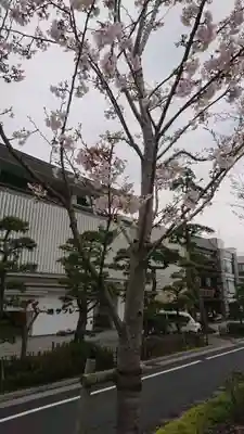 鶴岡八幡宮の周辺