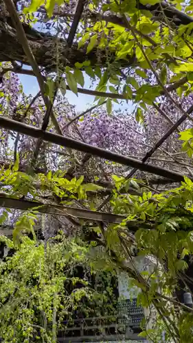 乘願院(京都府)