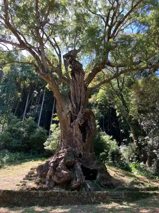 武雄神社(佐賀県)