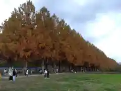 大處神社の周辺