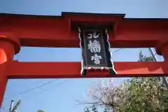 石和八幡宮(官知物部神社)の鳥居