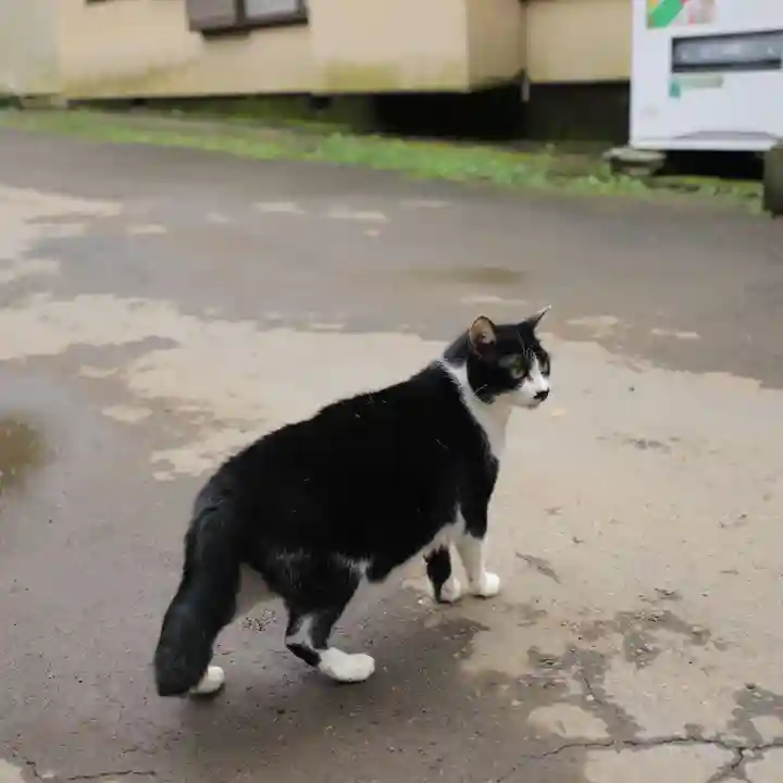 間々田八幡宮の動物