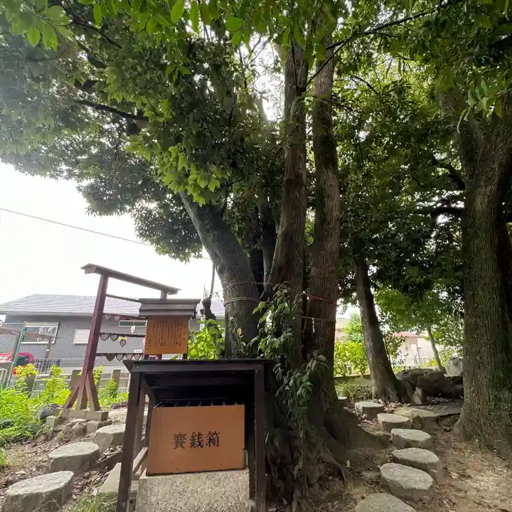 澁川神社(渋川神社)(愛知県)