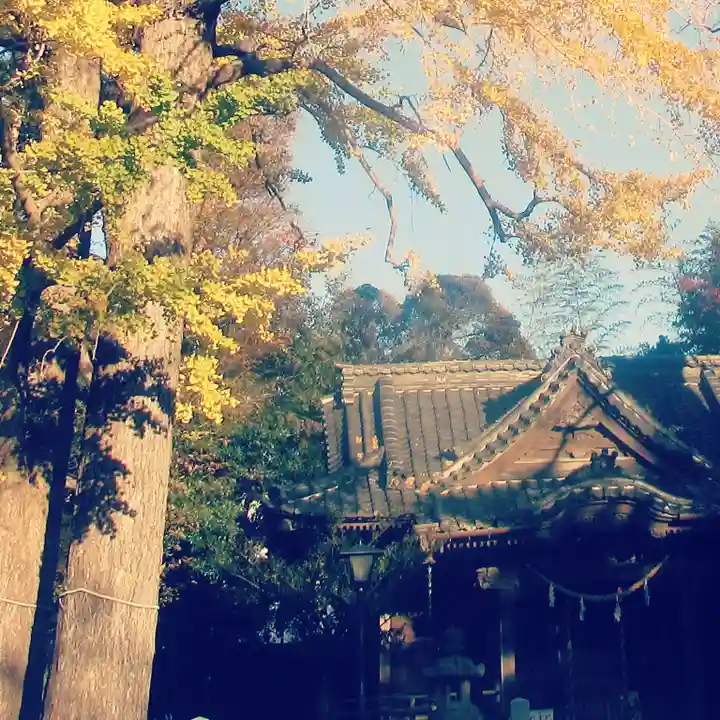 亀岡八幡宮(亀岡八幡神社)のその他建物