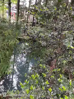 龍光寺(大阪府)