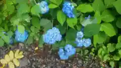 戸隠神社奥社(長野県)