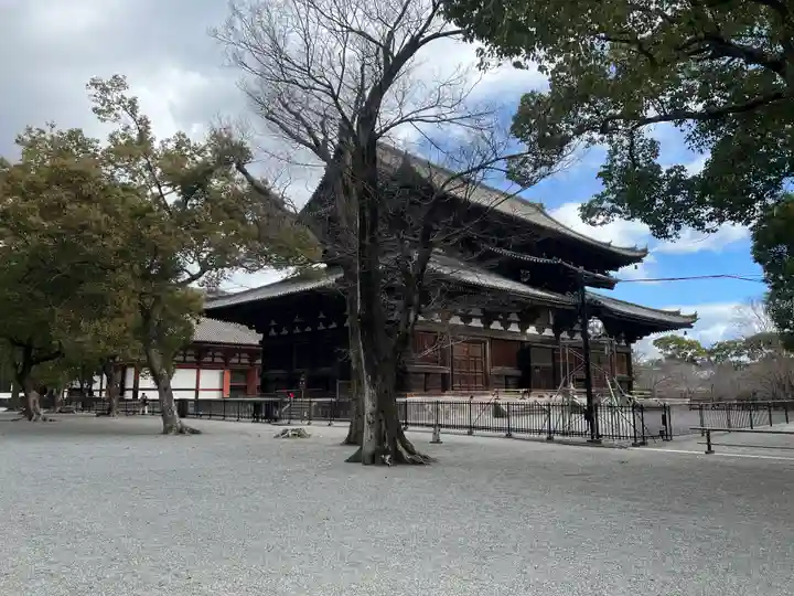 東寺(教王護国寺)(京都府)