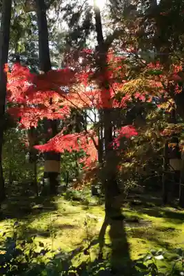 唐招提寺(奈良県)