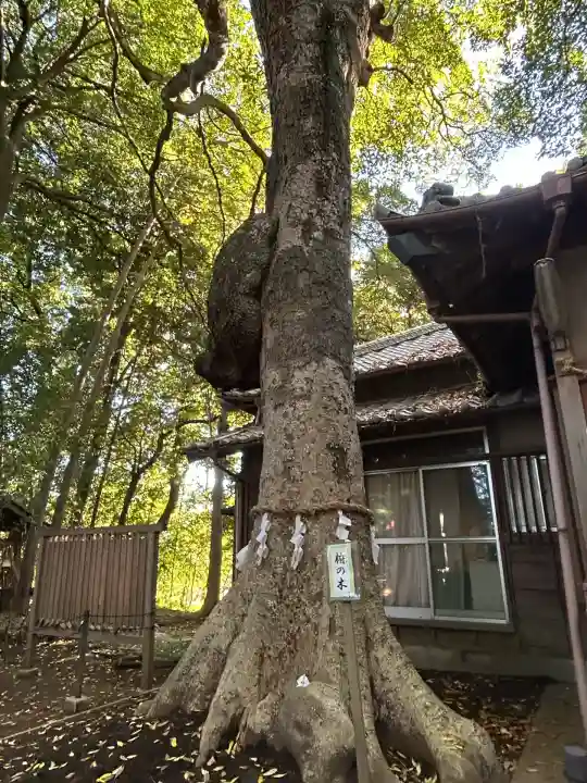 氷川女體神社(埼玉県)