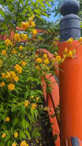 賀茂御祖神社（下鴨神社）(京都府)