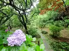 瑞泉寺(神奈川県)