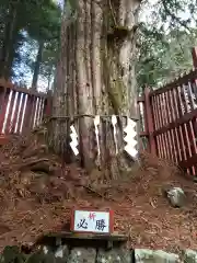 日光二荒山神社中宮祠(栃木県)